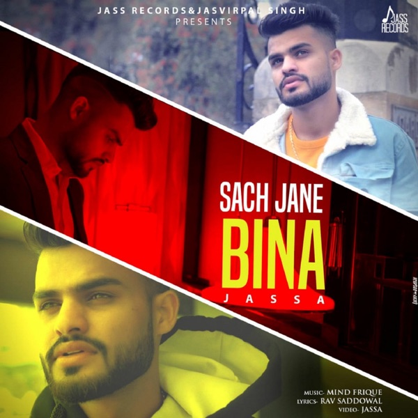 Sach Jane Bina Cover