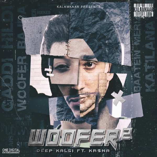 Woofer 2 Cover