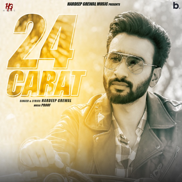 24 Carat Cover