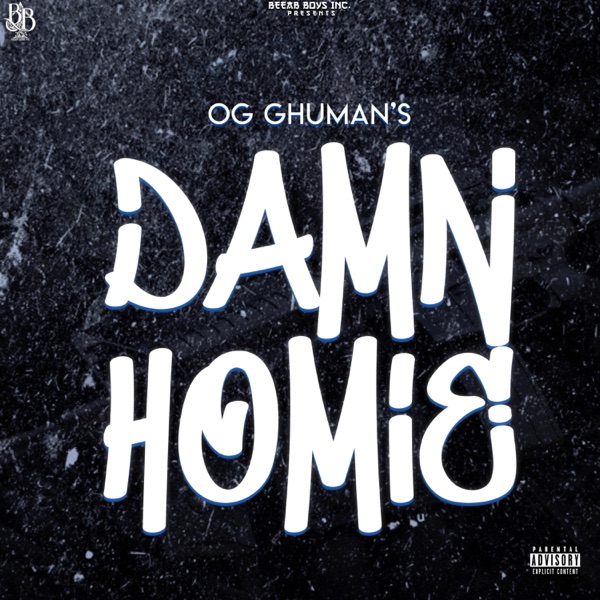 Damn Homie Cover