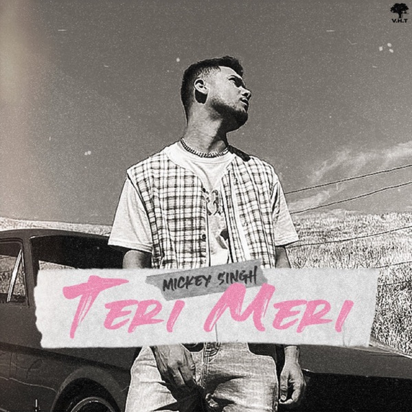 Teri Meri Cover