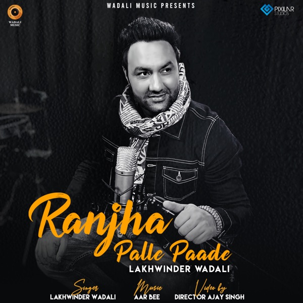 Ranjha Palle Paade Cover