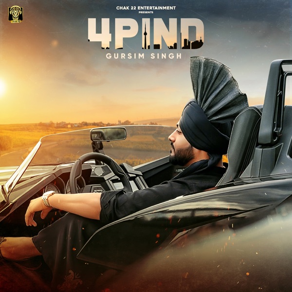 4 Pind Cover