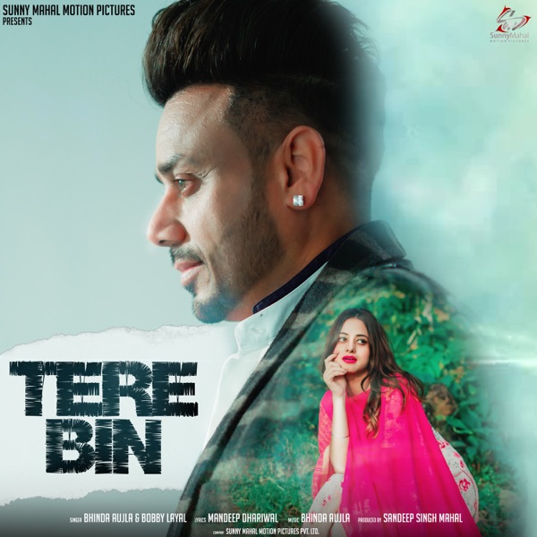 Tere Bin Cover