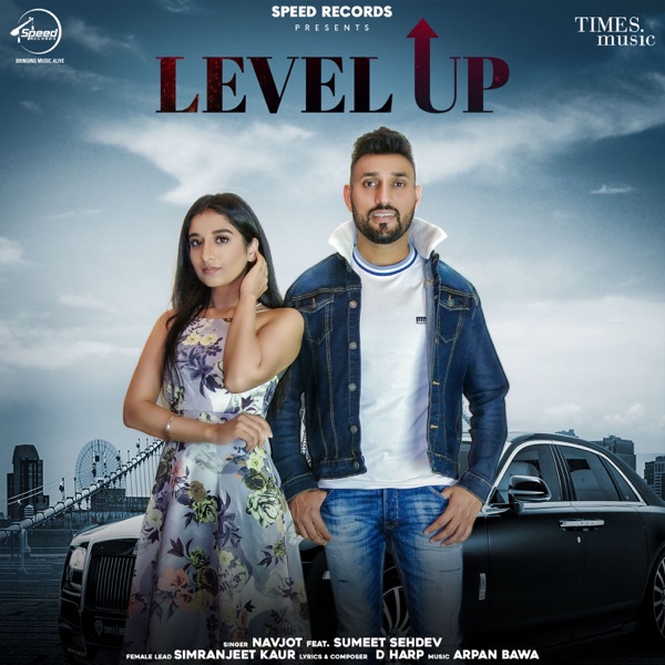 Level Up Cover