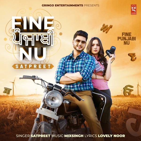 Fine Punjabi Nu Cover