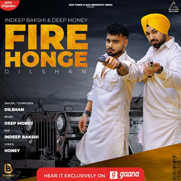 Fire Honge Cover