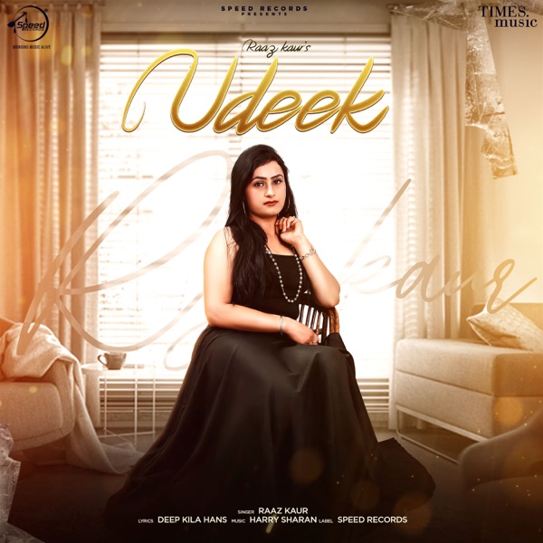 Udeek Cover