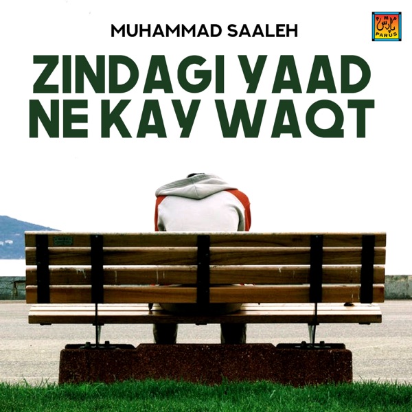 Zindagi Cover