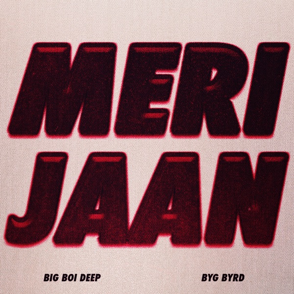 Meri Jaan Cover