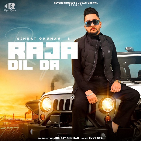 Raja Dil Da Cover