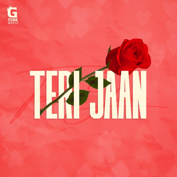 Teri Jaan Cover