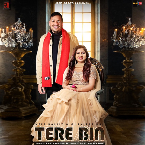 Tere Bin Cover