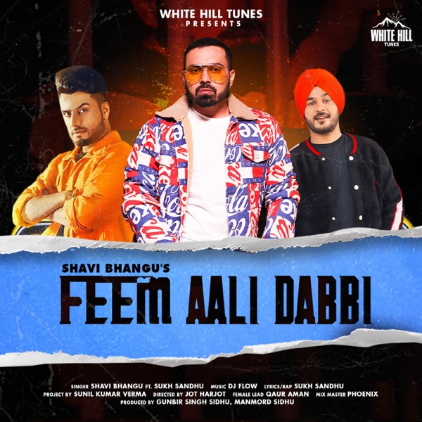 Feem Aali Dabbi Cover