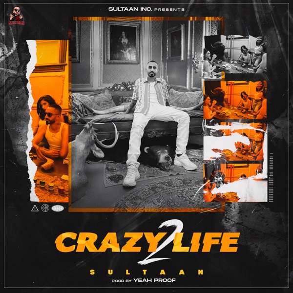 Crazy Life 2 Cover