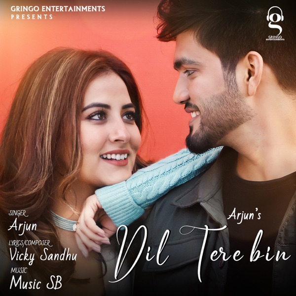 Dil Tere Bin Cover