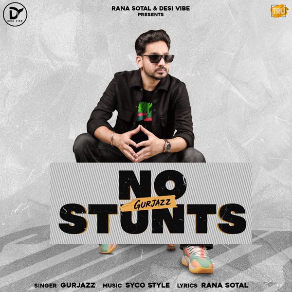 No Stunts Cover