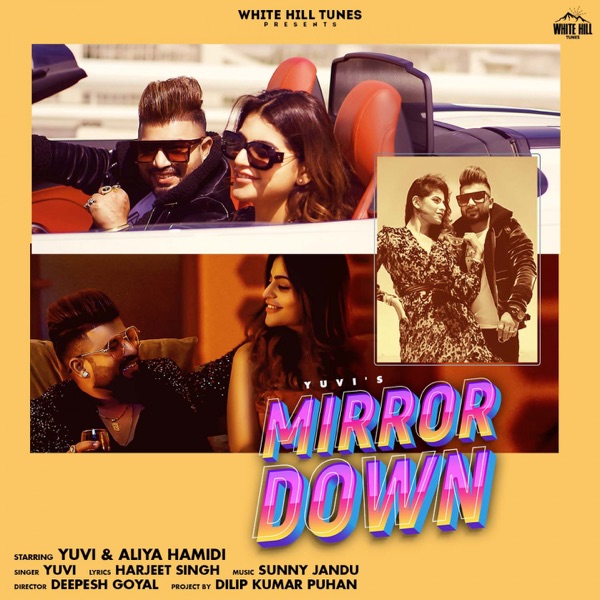 Mirror Down Cover