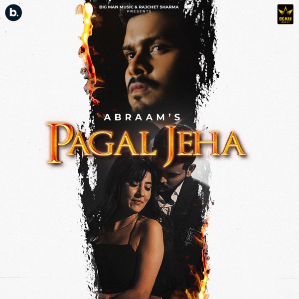 Pagal Jeha Cover