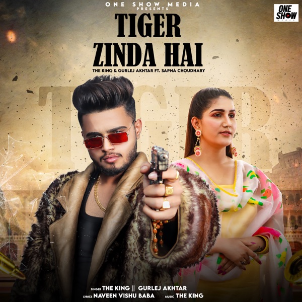 Tiger Zinda Hai Cover