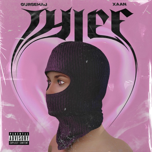 Thief Cover