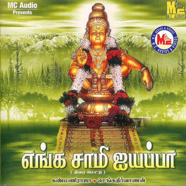 Poi Solla Koodhathu Cover