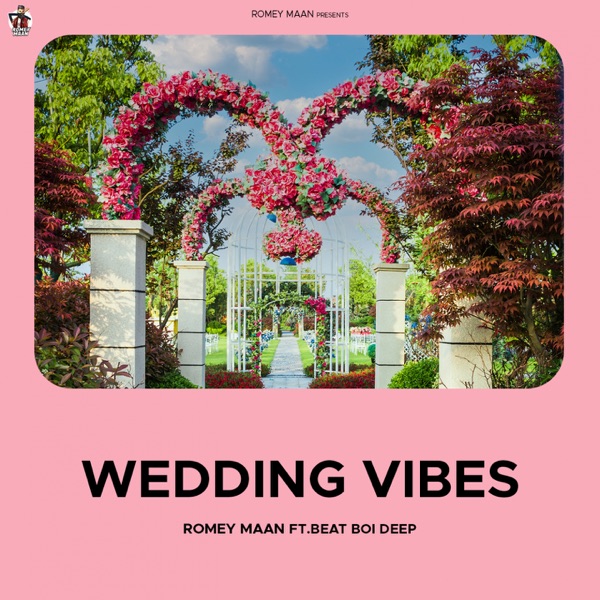 Wedding Vibes Cover