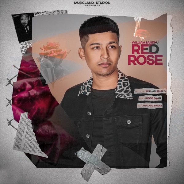 Red Rose Cover