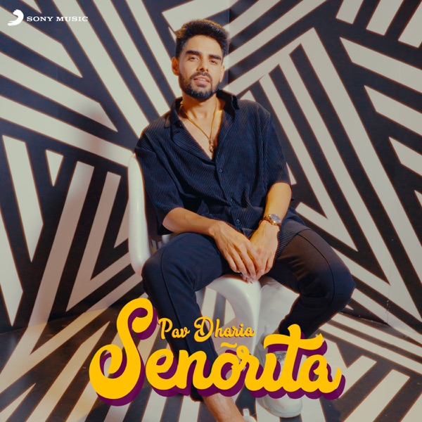 Senorita Cover