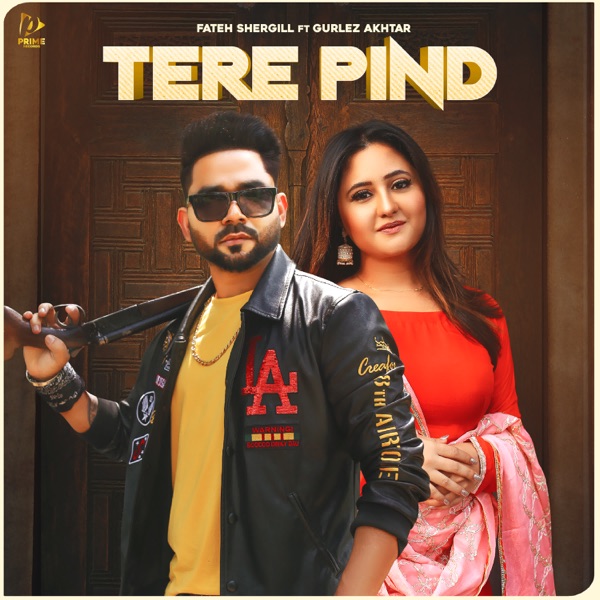 Tere Pind Cover