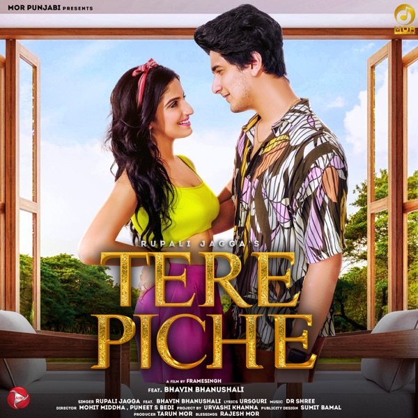 Tere Piche Cover