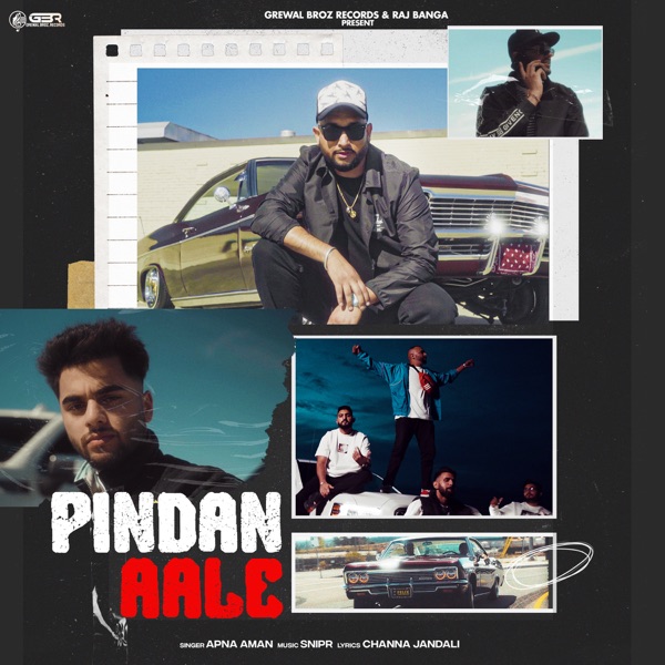 Pindan Aale Cover