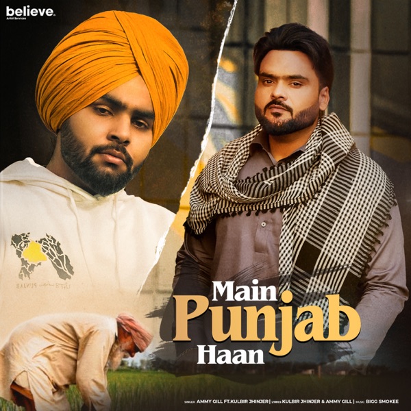 Main Punjab Haan Cover