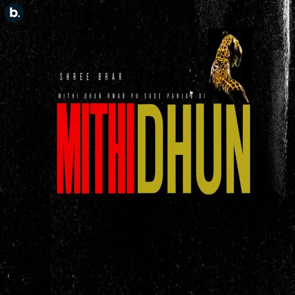 Mithi Dhun Cover