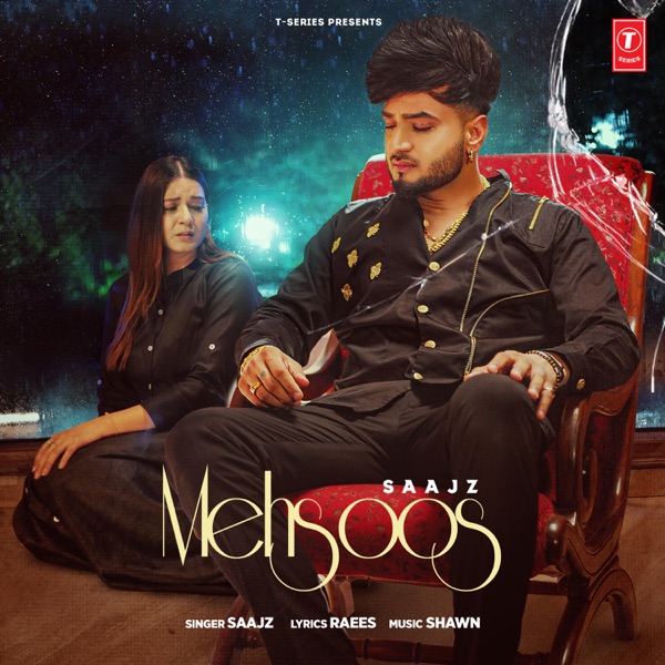 Mehsoos Cover