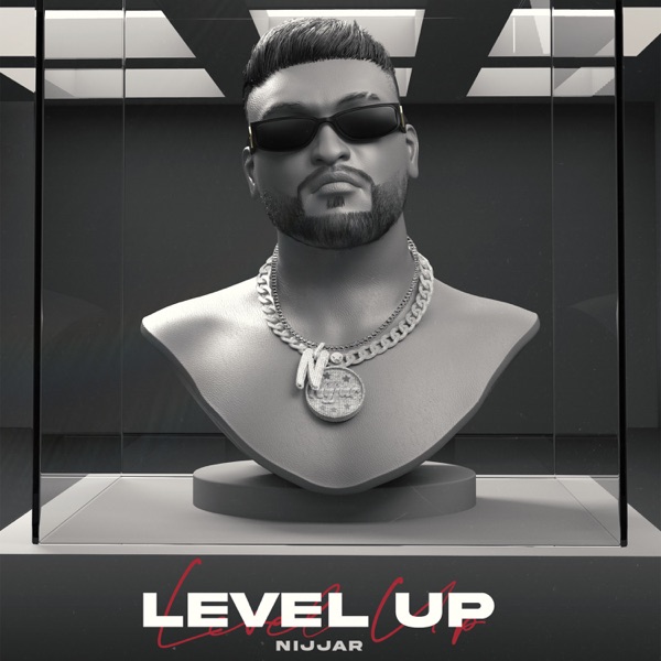 Level Up Cover