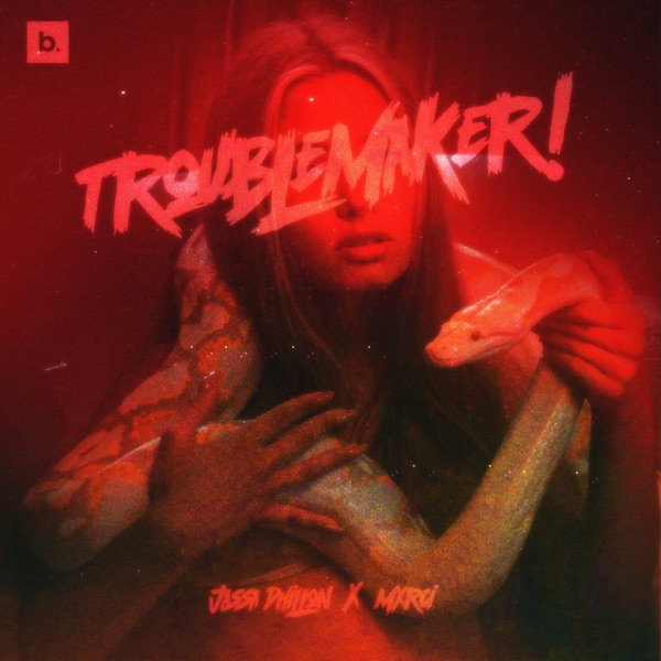 Trouble Maker Cover