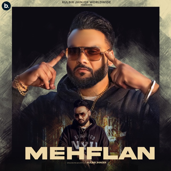 Mehflan Cover