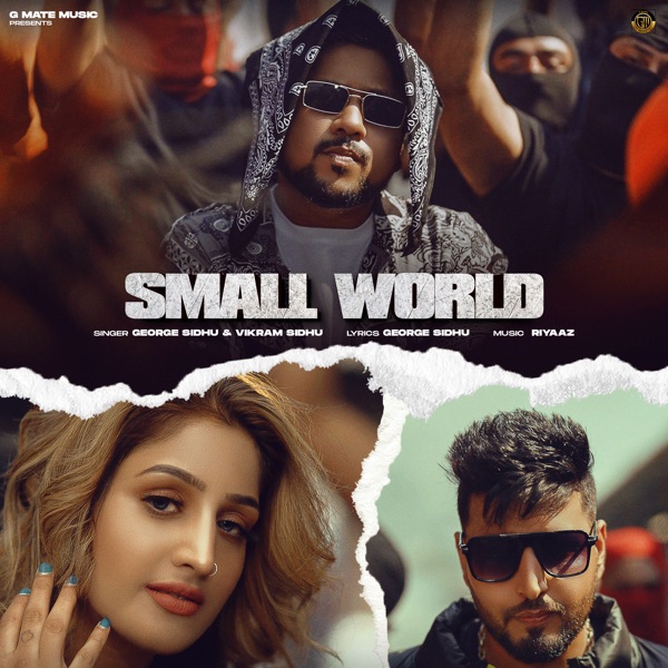 Small World Cover