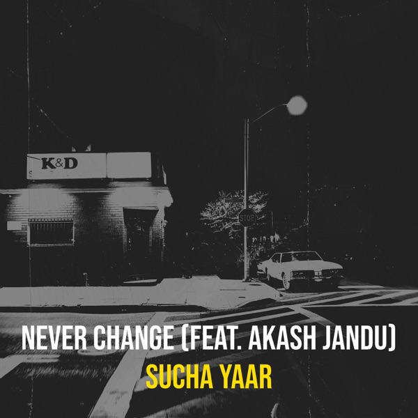 Never Change Cover