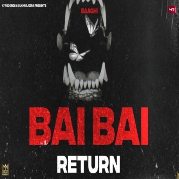 Bai Bai Return Cover