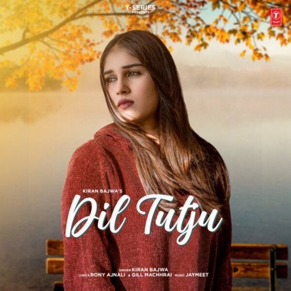 Dil Tutju Cover