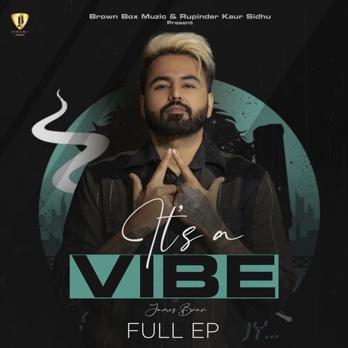 Its A Vibe  Vol. 1 Cover