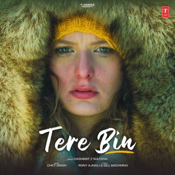 Tere Bin Cover