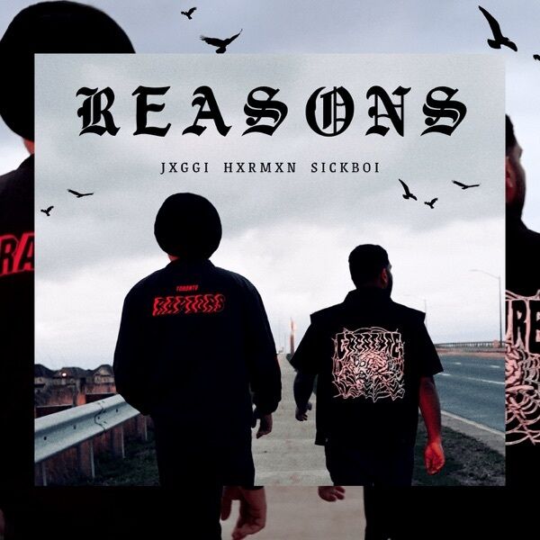 Reasons Cover