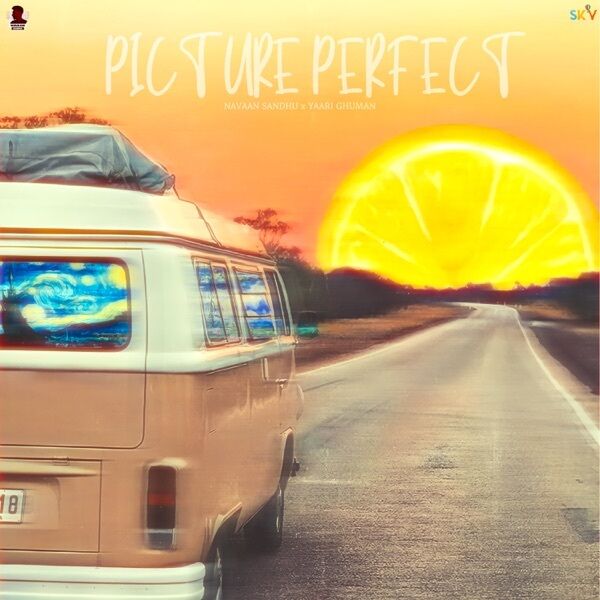 Picture Perfect Cover