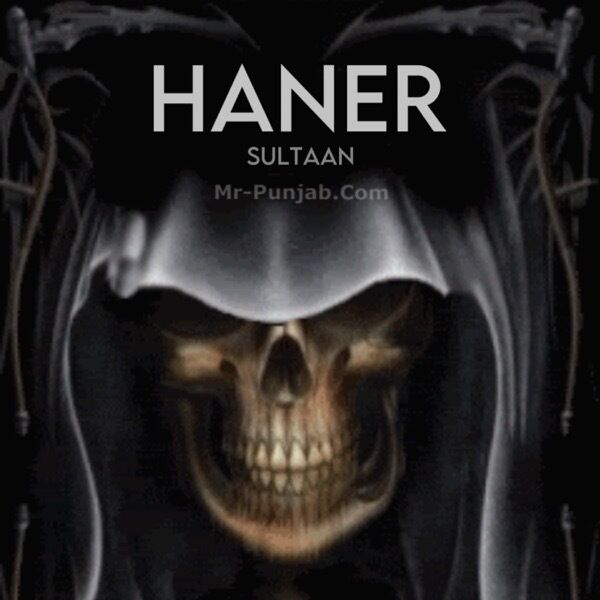 Haner Cover