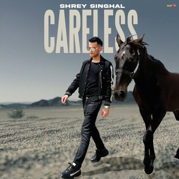 Careless Cover