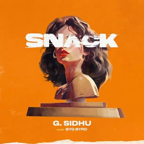 Snack Cover