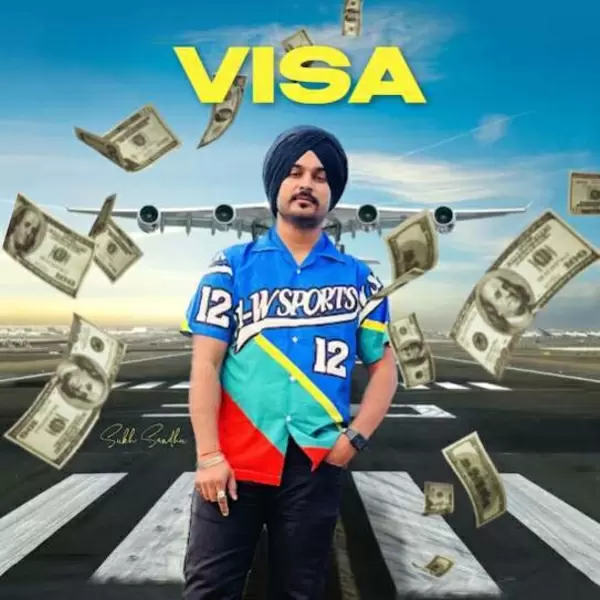 Visa Cover